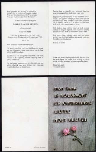 Scan