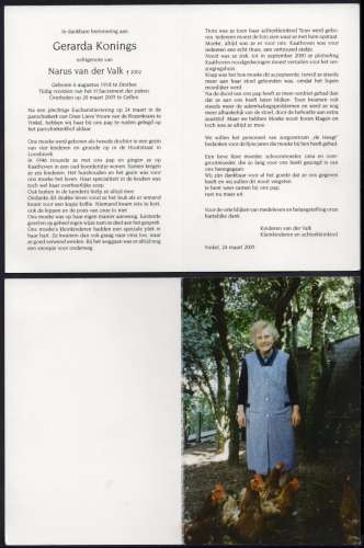 Scan