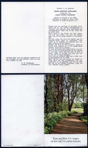 Scan
