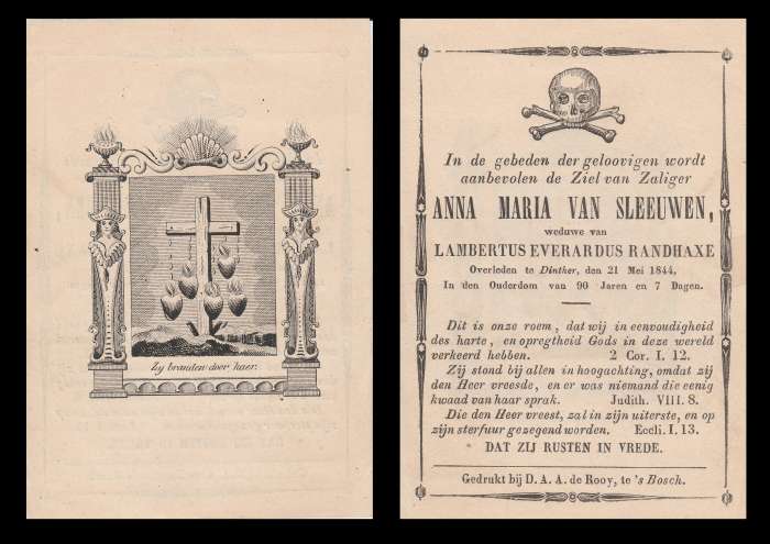 Scan